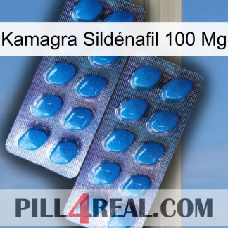 Kamagra Sildénafil 100 Mg viagra2